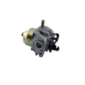 Karburátor komplett MTD P61
