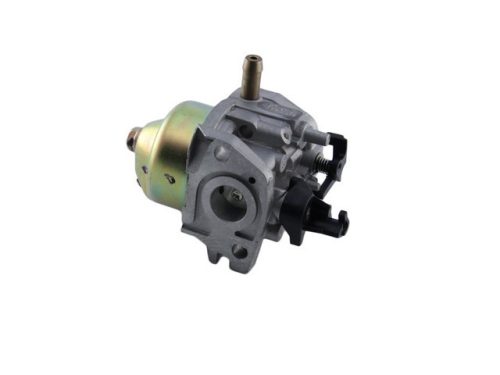 Karburátor komplett MTD P61