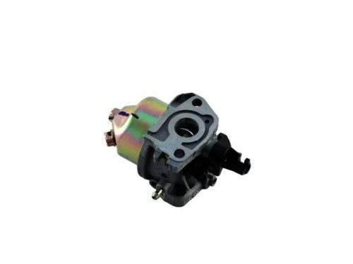 Karburátor komplett MTD P61HB