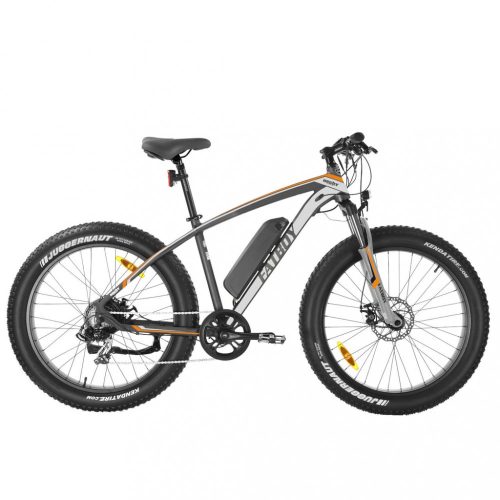 HECHTFATBOYSILVER - Elektromos kerékpár ezüst